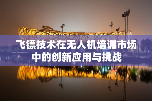 飞镖技术在无人机培训市场中的创新应用与挑战