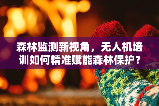 森林监测新视角，无人机培训如何精准赋能森林保护？