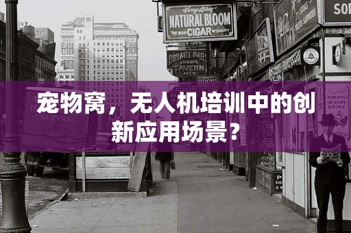 宠物窝，无人机培训中的创新应用场景？