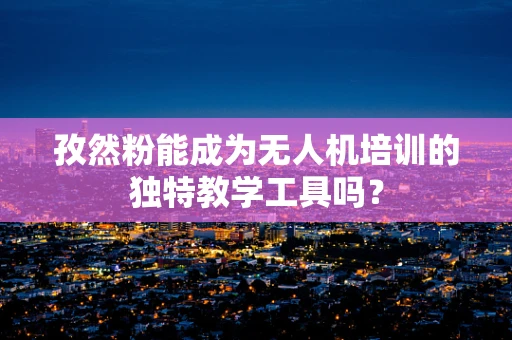 孜然粉能成为无人机培训的独特教学工具吗？