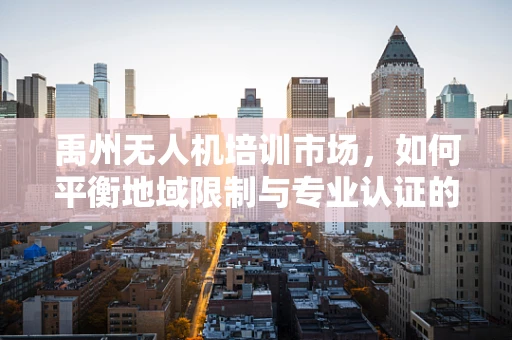 禹州无人机培训市场，如何平衡地域限制与专业认证的挑战？