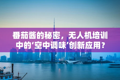番茄酱的秘密，无人机培训中的‘空中调味’创新应用？
