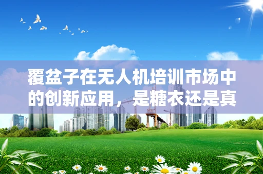 覆盆子在无人机培训市场中的创新应用，是糖衣还是真才实学？