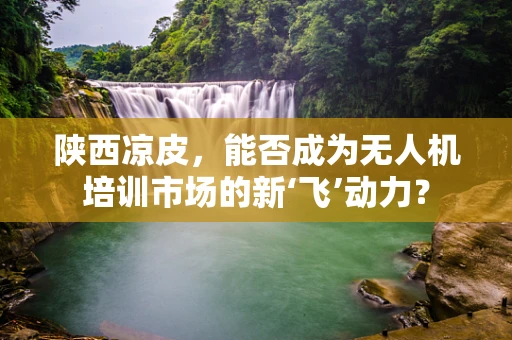陕西凉皮，能否成为无人机培训市场的新‘飞’动力？