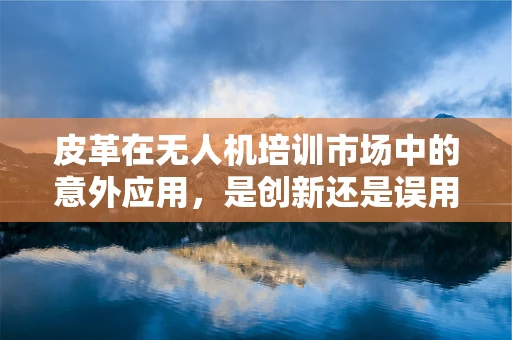 皮革在无人机培训市场中的意外应用，是创新还是误用？