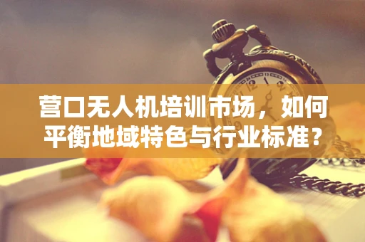 营口无人机培训市场，如何平衡地域特色与行业标准？