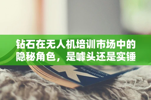 钻石在无人机培训市场中的隐秘角色，是噱头还是实锤？