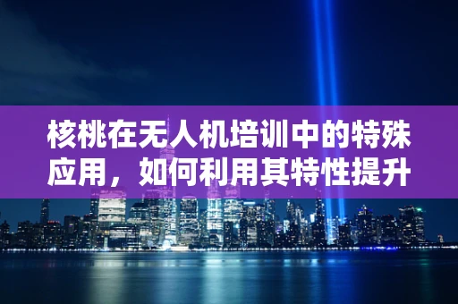 核桃在无人机培训中的特殊应用，如何利用其特性提升飞行安全？