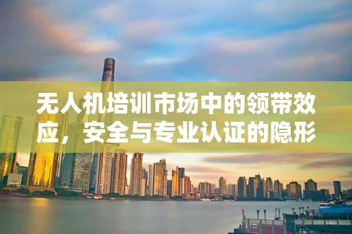 无人机培训市场中的领带效应，安全与专业认证的隐形纽带？
