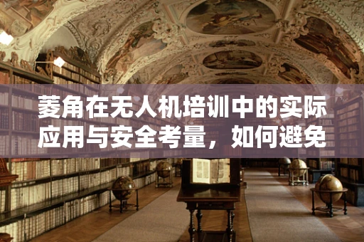 菱角在无人机培训中的实际应用与安全考量，如何避免飞行中的‘锋芒’？