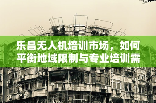 乐昌无人机培训市场，如何平衡地域限制与专业培训需求？