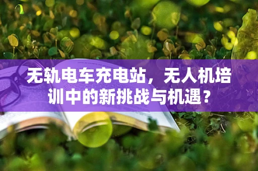 无轨电车充电站，无人机培训中的新挑战与机遇？