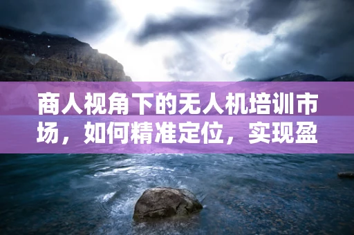 商人视角下的无人机培训市场，如何精准定位，实现盈利最大化？