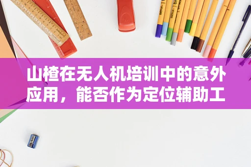 山楂在无人机培训中的意外应用，能否作为定位辅助工具？