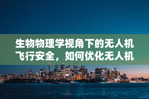 生物物理学视角下的无人机飞行安全，如何优化无人机避障系统？