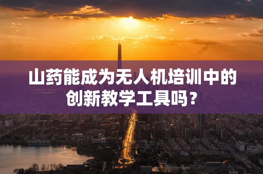 山药能成为无人机培训中的创新教学工具吗？
