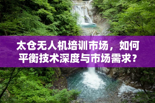 太仓无人机培训市场，如何平衡技术深度与市场需求？