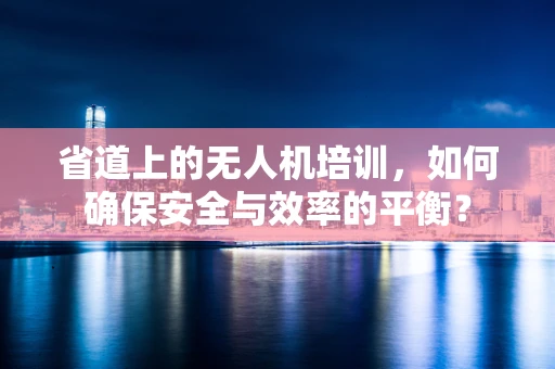 省道上的无人机培训，如何确保安全与效率的平衡？