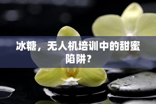 冰糖，无人机培训中的甜蜜陷阱？