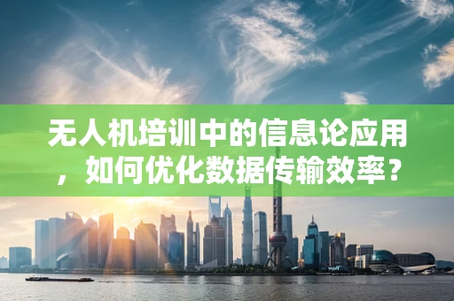 无人机培训中的信息论应用，如何优化数据传输效率？