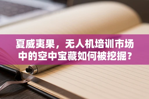 夏威夷果，无人机培训市场中的空中宝藏如何被挖掘？