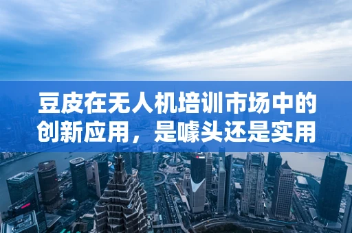 豆皮在无人机培训市场中的创新应用，是噱头还是实用？