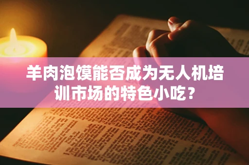 羊肉泡馍能否成为无人机培训市场的特色小吃？