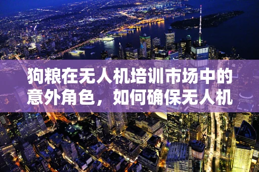 狗粮在无人机培训市场中的意外角色，如何确保无人机安全携带？