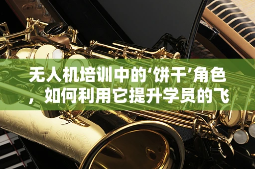 无人机培训中的‘饼干’角色，如何利用它提升学员的飞行感知？