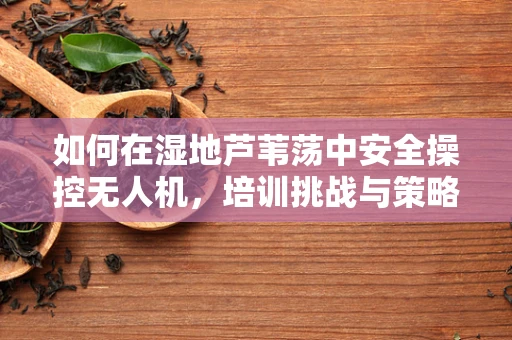 如何在湿地芦苇荡中安全操控无人机，培训挑战与策略？