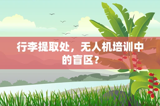 行李提取处，无人机培训中的盲区？