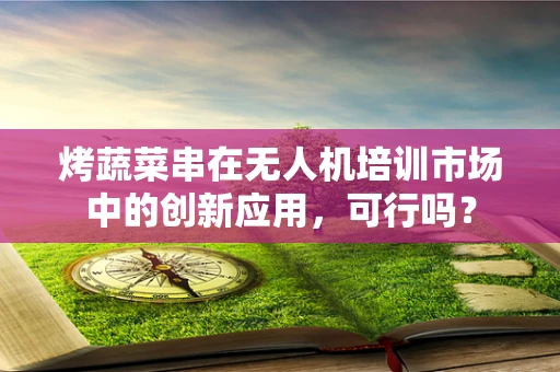 烤蔬菜串在无人机培训市场中的创新应用，可行吗？