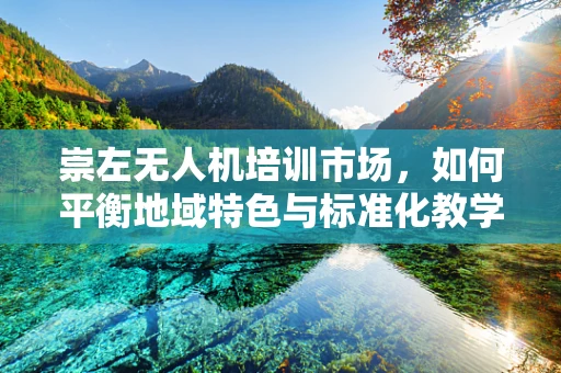 崇左无人机培训市场，如何平衡地域特色与标准化教学？