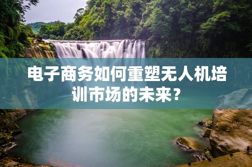 电子商务如何重塑无人机培训市场的未来？
