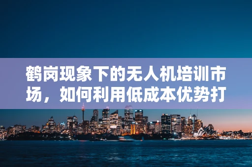 鹤岗现象下的无人机培训市场，如何利用低成本优势打造特色培训？