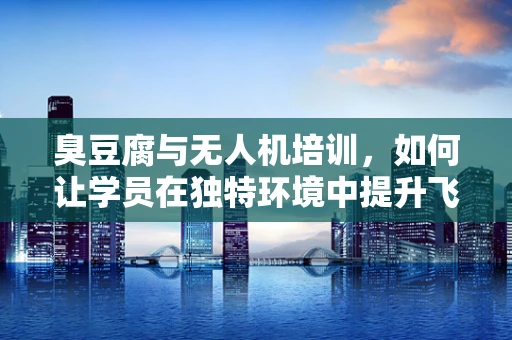臭豆腐与无人机培训，如何让学员在独特环境中提升飞行技能？