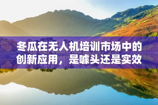 冬瓜在无人机培训市场中的创新应用，是噱头还是实效？