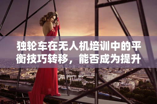 独轮车在无人机培训中的平衡技巧转移，能否成为提升飞行稳定性的新途径？