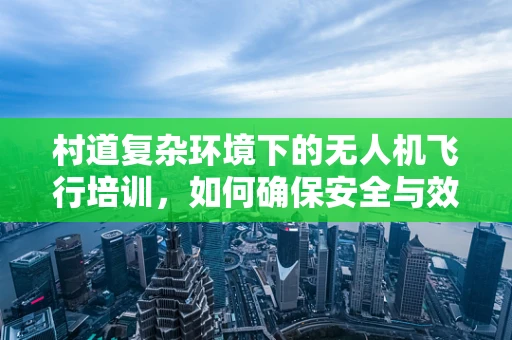 村道复杂环境下的无人机飞行培训，如何确保安全与效率？