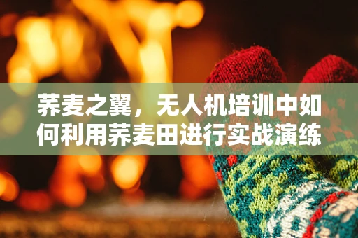 荞麦之翼，无人机培训中如何利用荞麦田进行实战演练？