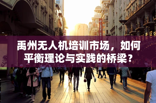禹州无人机培训市场，如何平衡理论与实践的桥梁？