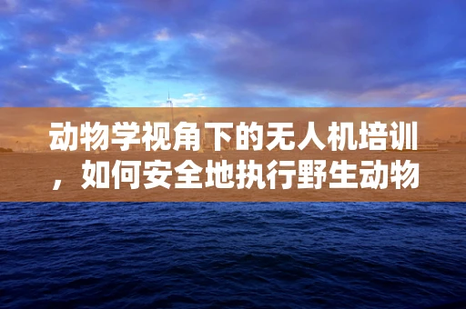 动物学视角下的无人机培训，如何安全地执行野生动物监测任务？