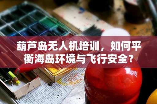 葫芦岛无人机培训，如何平衡海岛环境与飞行安全？