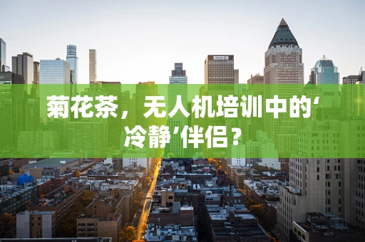 菊花茶，无人机培训中的‘冷静’伴侣？
