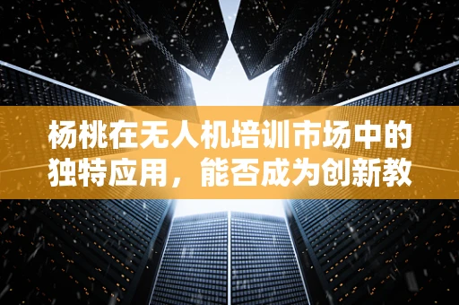 杨桃在无人机培训市场中的独特应用，能否成为创新教学工具？