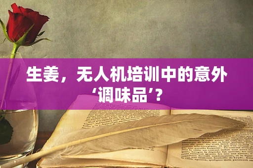 生姜，无人机培训中的意外‘调味品’？