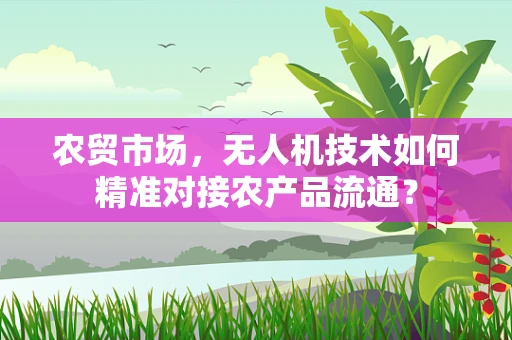 农贸市场，无人机技术如何精准对接农产品流通？