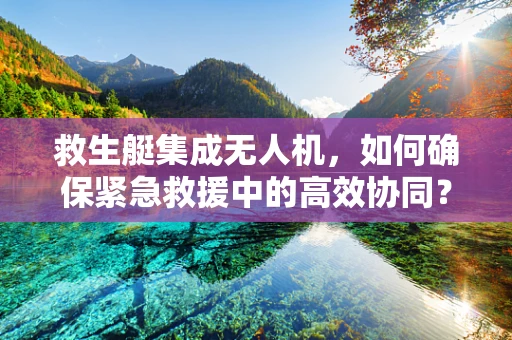 救生艇集成无人机，如何确保紧急救援中的高效协同？