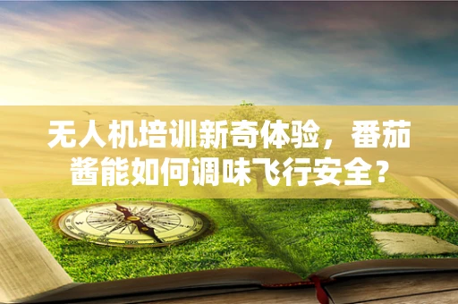无人机培训新奇体验，番茄酱能如何调味飞行安全？