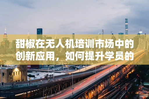 甜椒在无人机培训市场中的创新应用，如何提升学员的视觉识别能力？